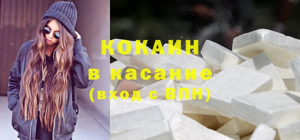 индика Алексеевка