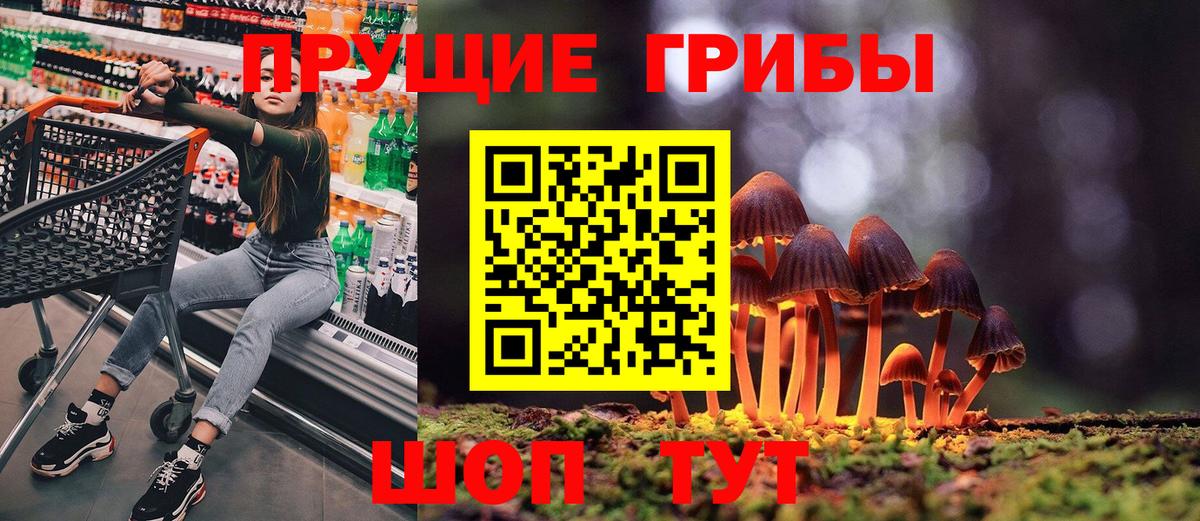 Псилоцибиновые грибы Psilocybe Люберцы