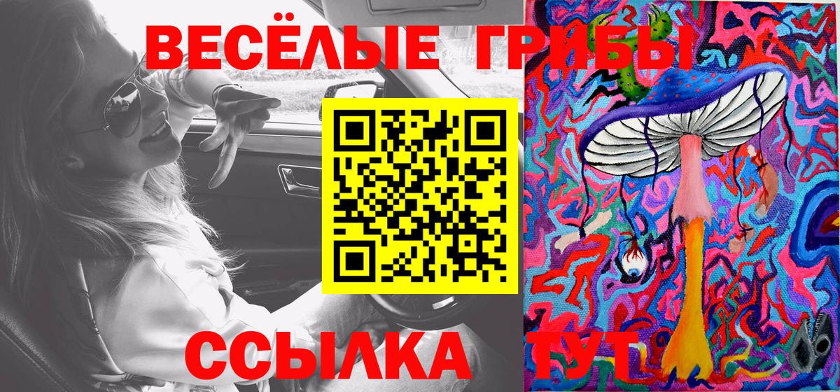 Люберцы  Псилоцибиновые грибы GOLDEN TEACHER  Вход с VPN 